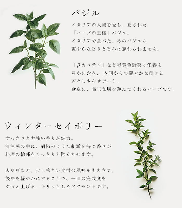 バイオダイナミック農法で育ったハーブを使用した地中海の香りを運ぶ万能ハーブソルト