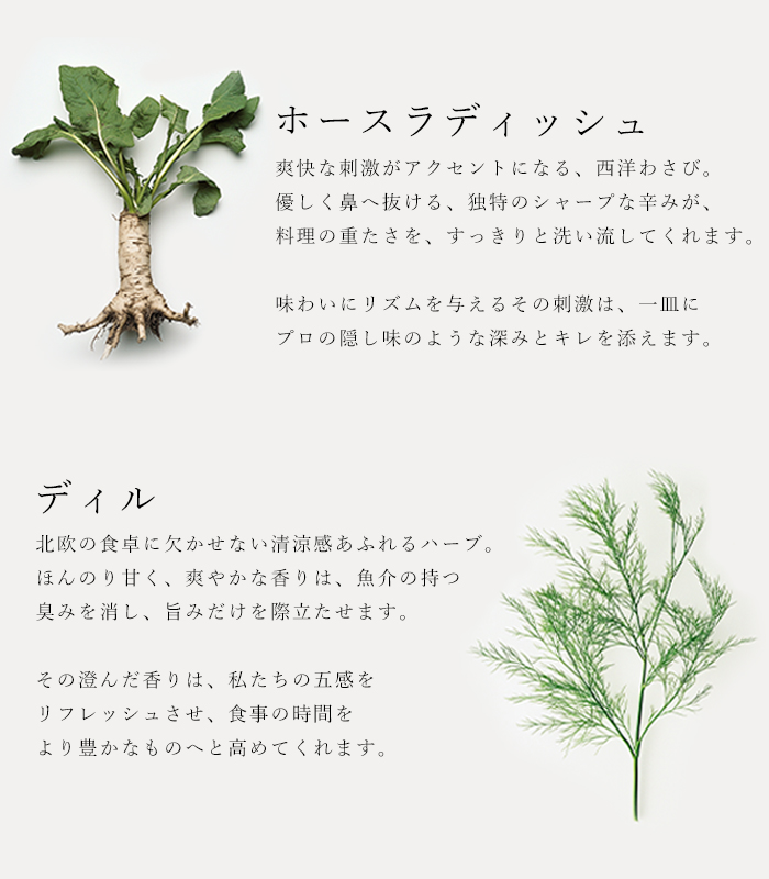 バイオダイナミック農法で育ったハーブを使用した地中海の香りを運ぶ万能ハーブソルト