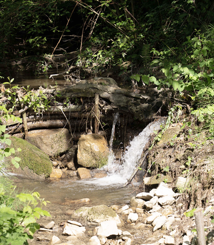 ハーブが育つイタリア・アペニン山脈の風景