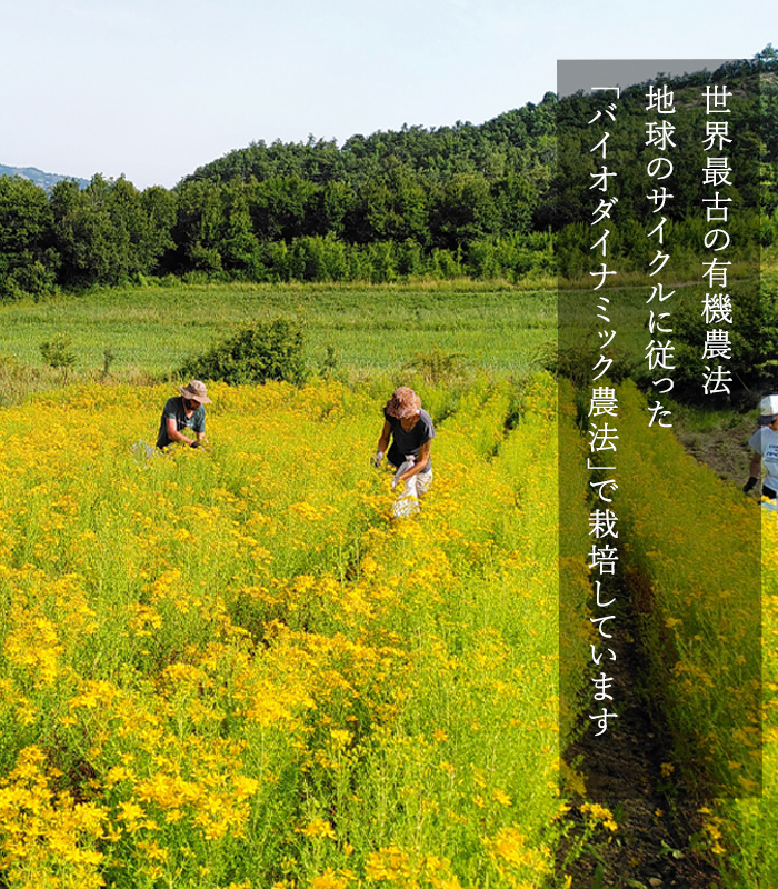 農園のきれいな水