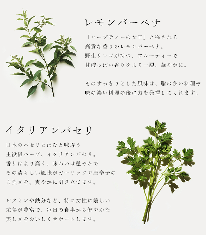 ハーブソルト「エデンアップル」の原材料レモンバーベナとイタリアンパセリの説明