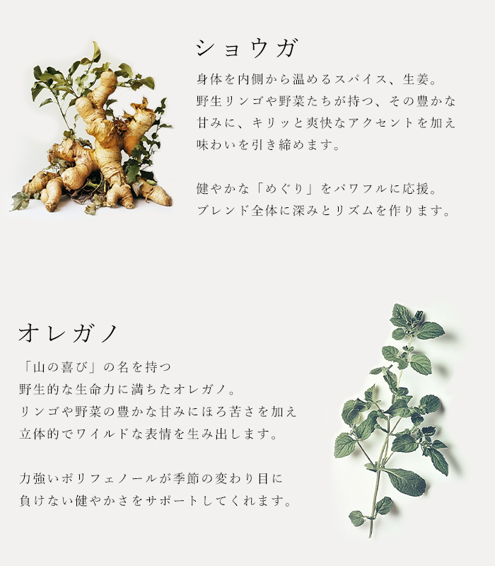 ハーブソルト「エデンアップル」の原材料生姜とオレガノの説明