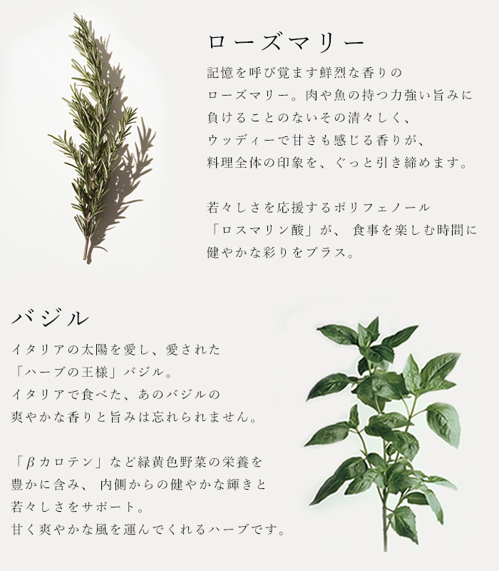 バイオダイナミック農法で育ったハーブを使用したガーリック香るハーブソルト