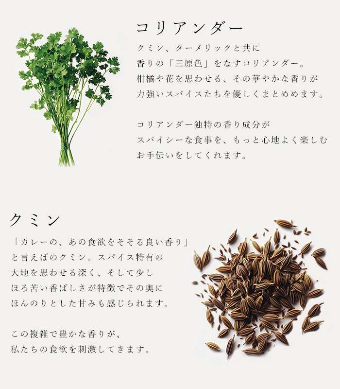ハーブソルト「オリエンタルゴールド」の原材料コリアンダーとクミンの説明