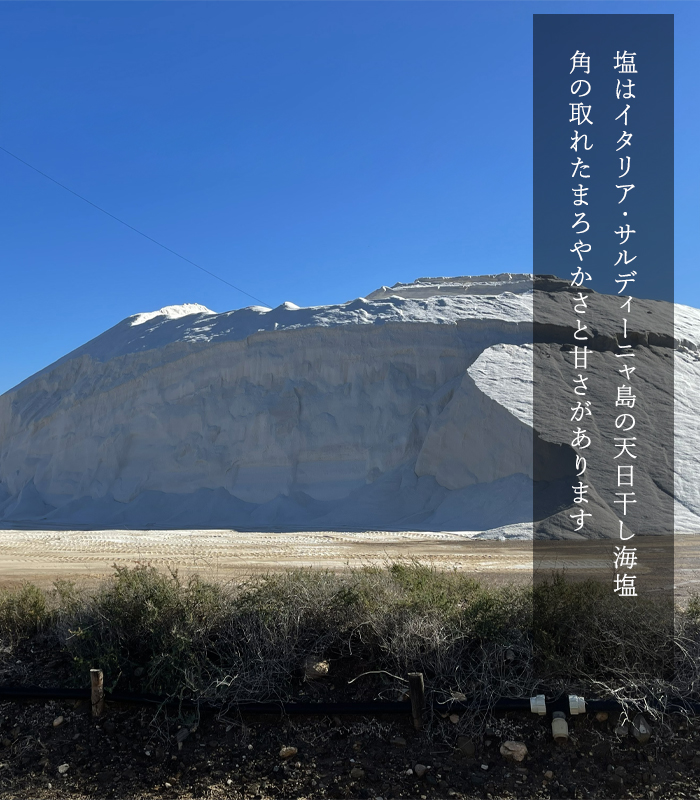 ブレンドの塩はサルディーニャ島の天然海塩