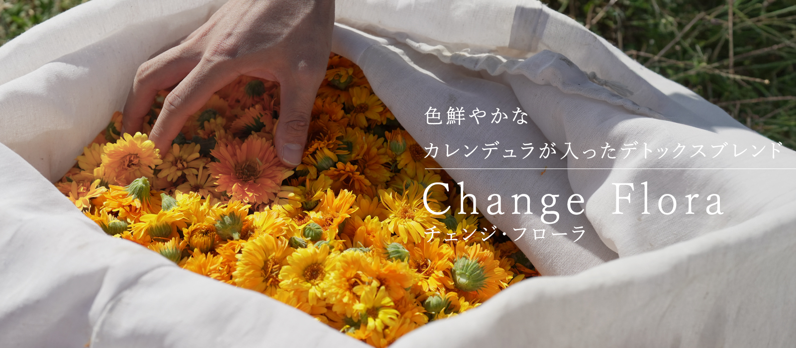 EPICROBEの腸活ブレンドハーブティ「Changeflora」
