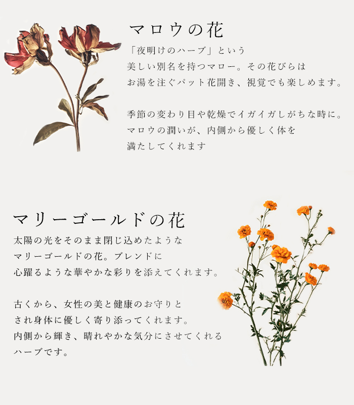 バイオダイナミック農法で育ったハーブを使用した腸内環境の巡りをサポートするエピクローブのハーブティ