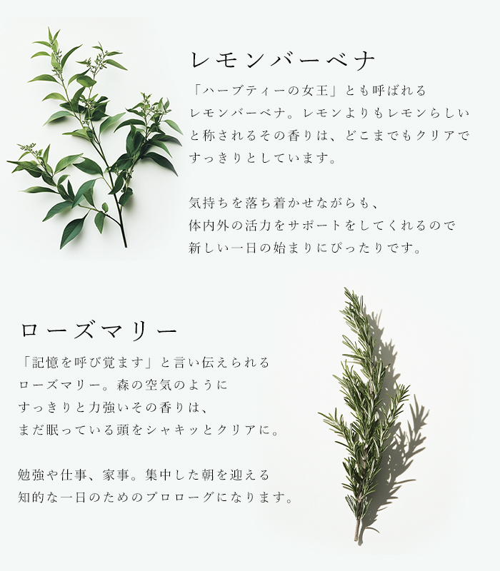バイオダイナミック農法で育ったハーブを使用した冷涼感のあるレモン香る朝のハーブティ