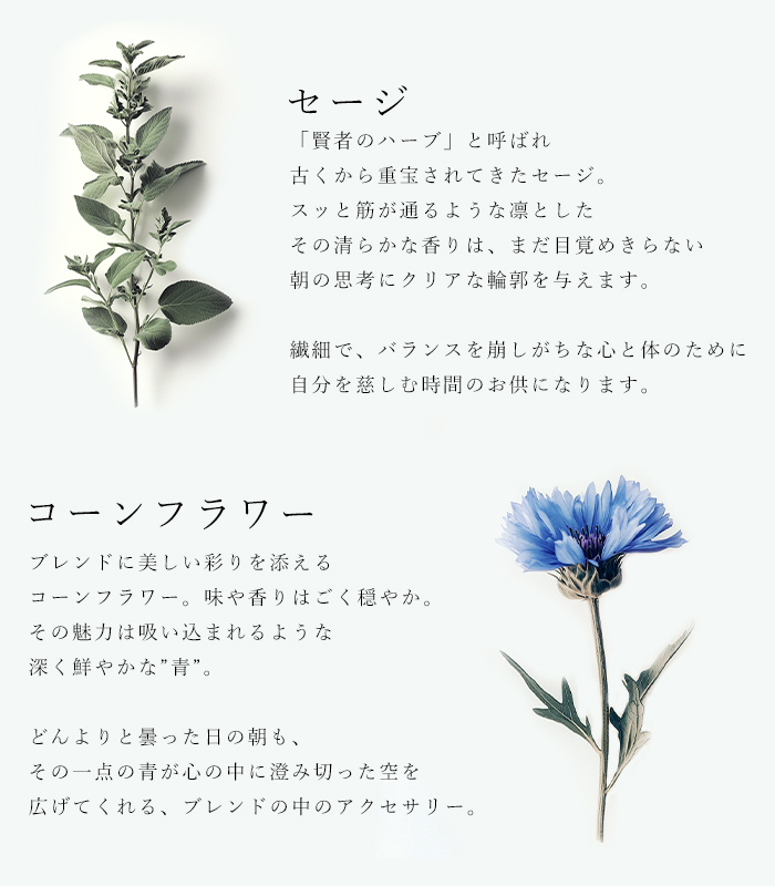 ハーブティ「モーニングルーティン」の原材料セージとコーンフラワーの説明