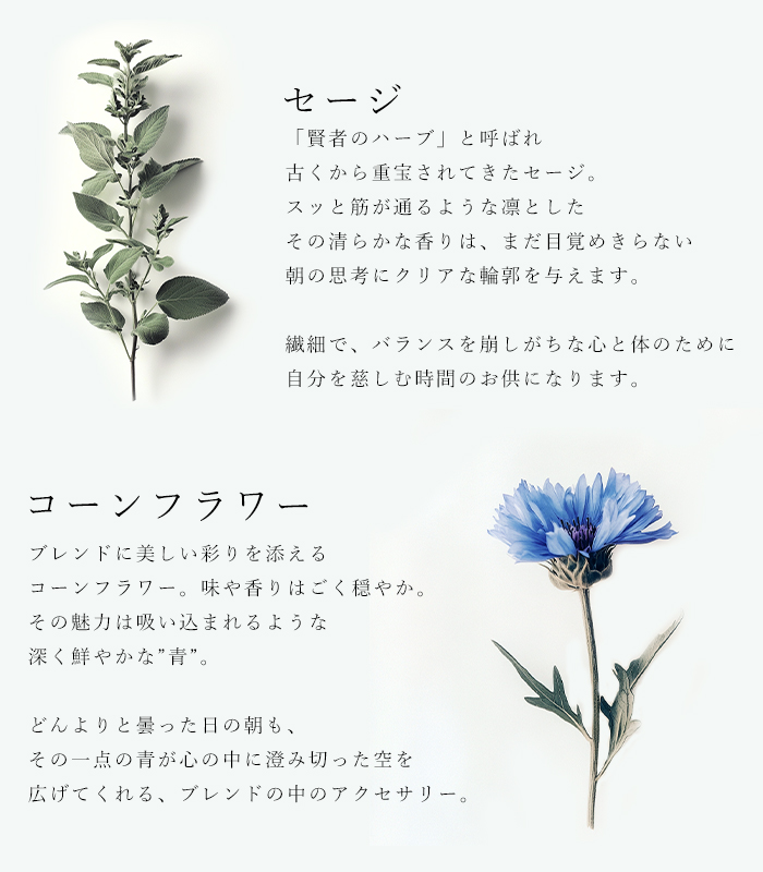 バイオダイナミック農法で育ったハーブを使用した冷涼感のあるレモン香る朝のハーブティ