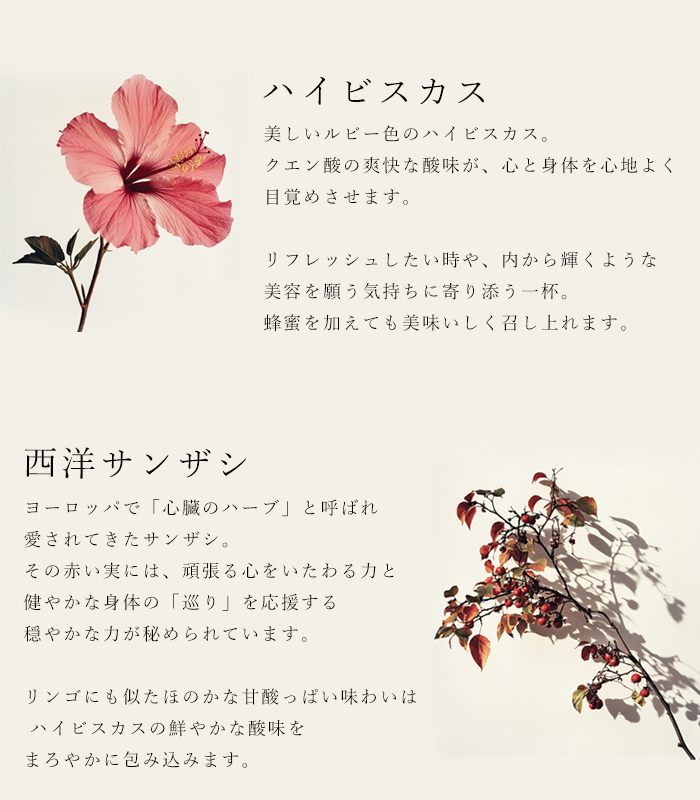 バイオダイナミック農法で育ったハーブを使用した内側から作る美を意識したハーブティ