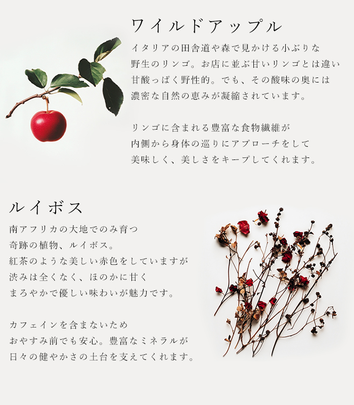 ハーブティ「スパイールイボス」の原材料ワイルドアップルとルイボスの説明