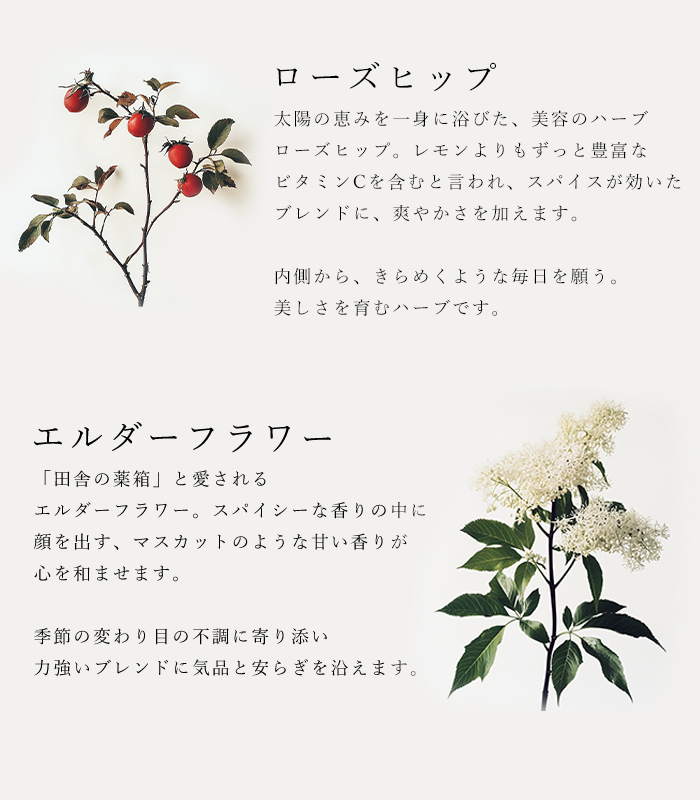 ハーブティ「スパイールイボス」の原材料ローズヒップとエルダーフラワーの説明
