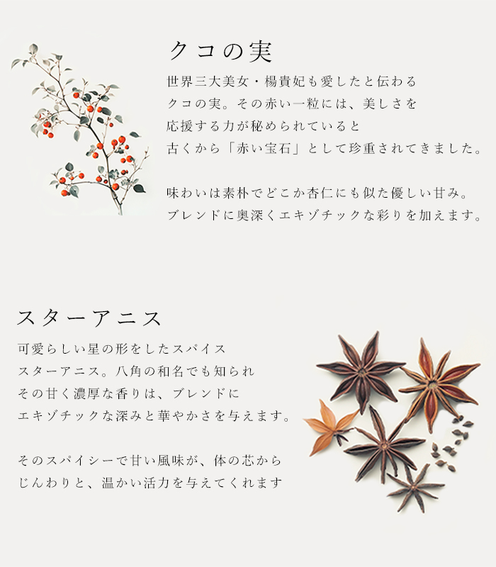 ハーブティ「スパイールイボス」の原材料クコの実とスターアニスの説明