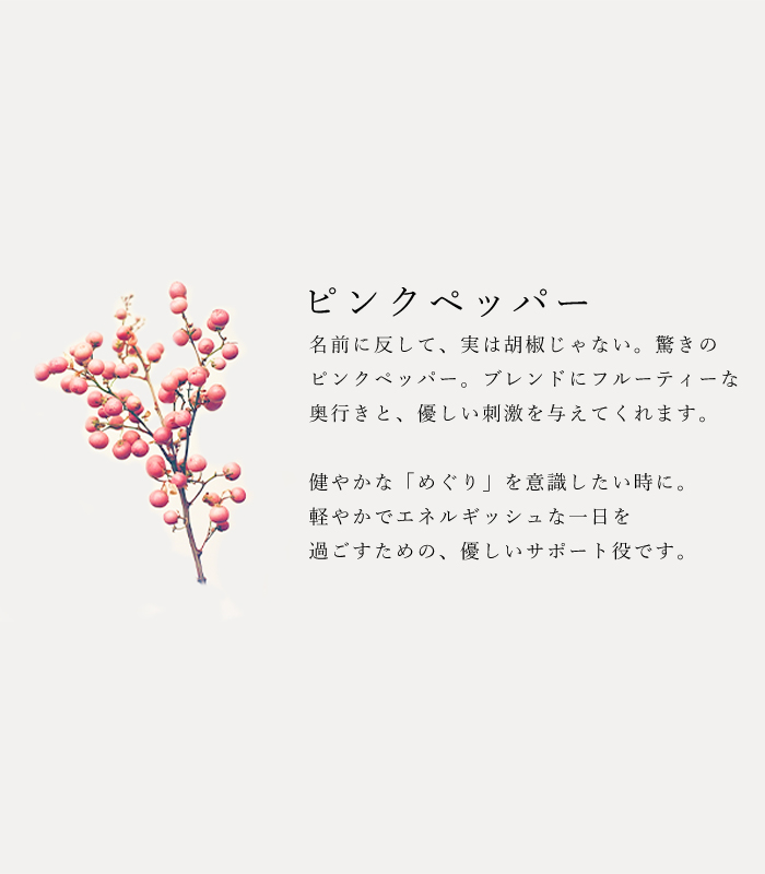 ハーブティ「スパイールイボス」の原材料ピンクペッパーの説明