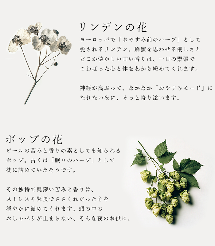 ハーブティ「スウィートドリーム」の原材料リンデンの花とホップの花の説明