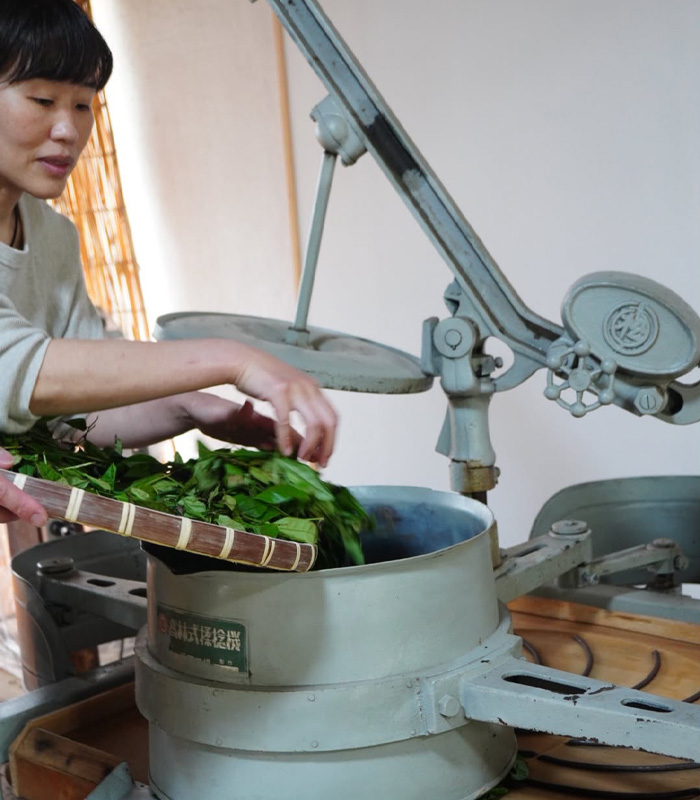 広島県産の在来種茶葉を使用したほうじ和紅茶