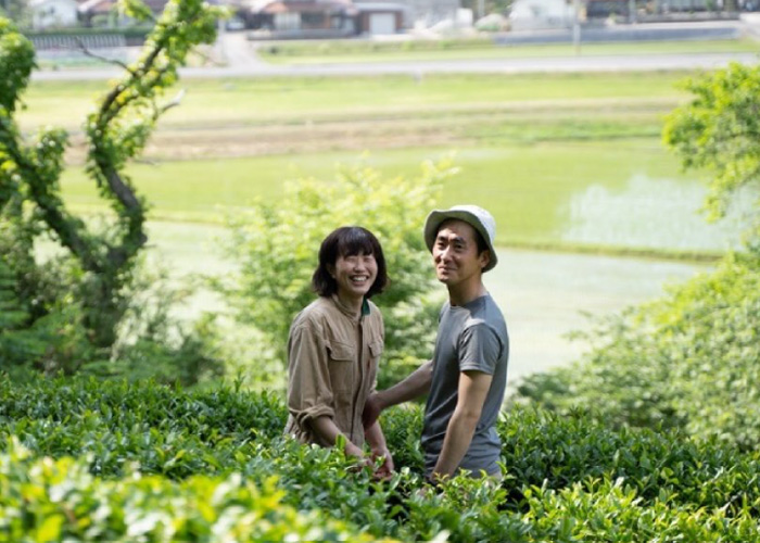 広島県産の在来種茶葉を使用したほうじ和紅茶