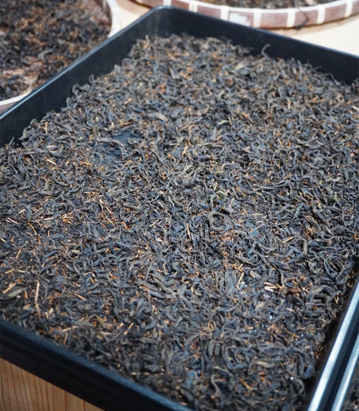 広島県産の在来種茶葉を使用したほうじ和紅茶