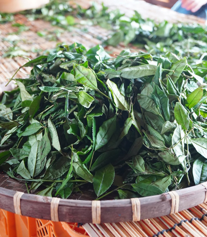 広島県産の在来種茶葉を使用したほうじ和紅茶