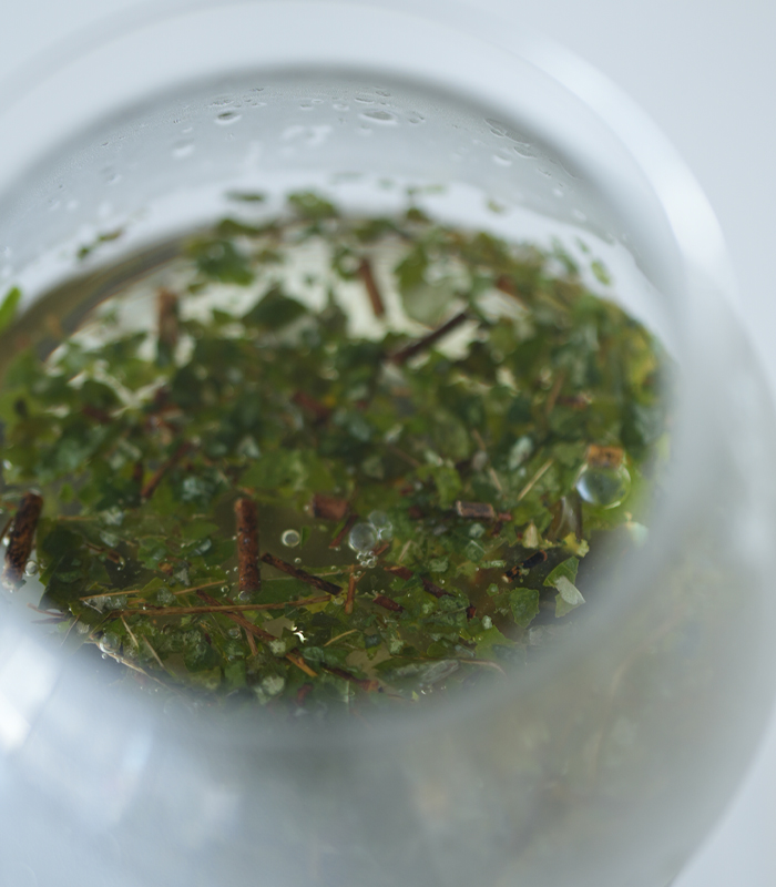 広島県産のクロモジ枝葉茶