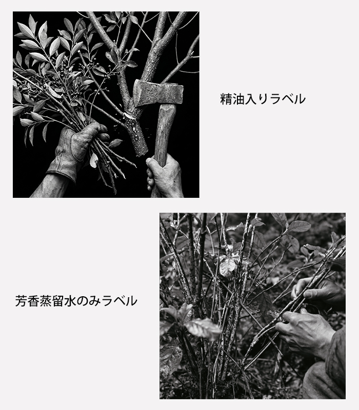 国産クロモジのルームミスト