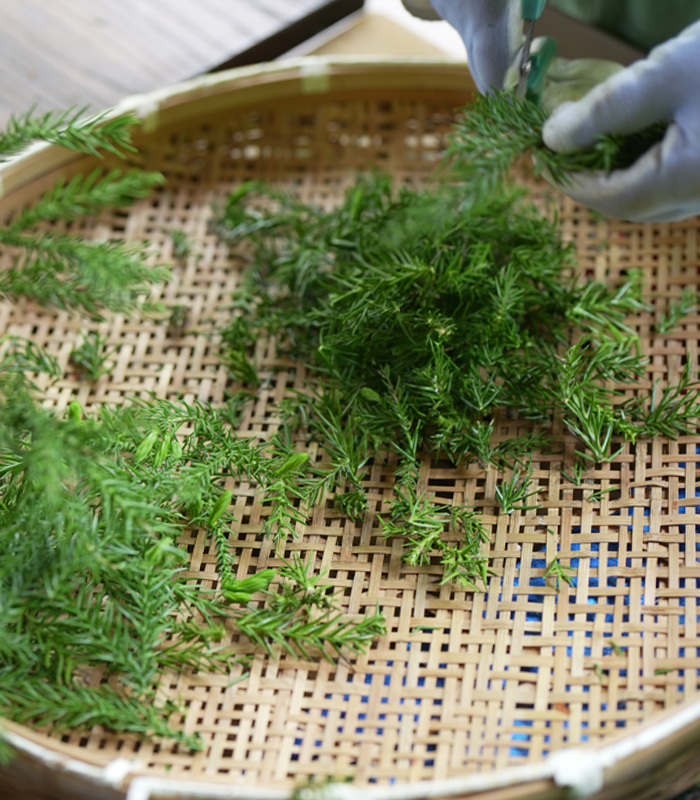国産杉のルームミスト